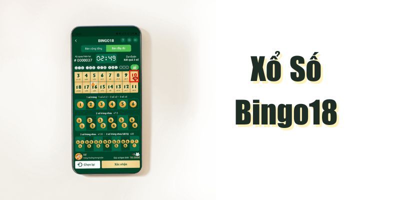 Những kinh nghiệm chơi Bingo hiệu quả từ cao thủ 